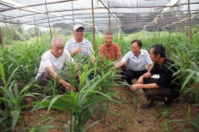 農業文化遺產活態保護與利用研究獲重要成果