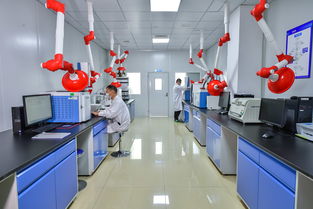 斯坦德檢測再次榮獲青島市“專精特新”稱號，生物農(nóng)藥技術(shù)研發(fā)成果獲肯定